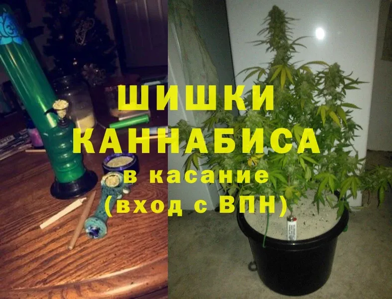 MEGA как войти  продажа наркотиков  Кемь  Бошки марихуана Bruce Banner 